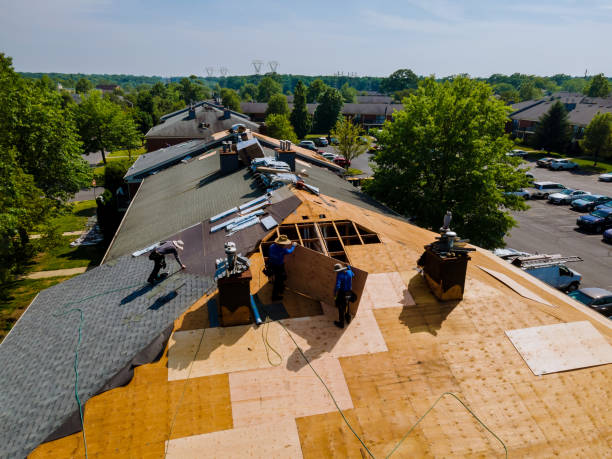 Best Local Roofing Companies  in Campbell, OH