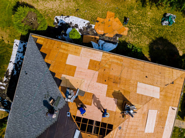 Best Roof Waterproofing Services  in Campbell, OH