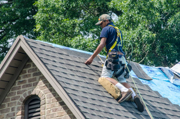 Professional Roofing Contractor in Campbell, OH